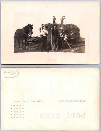 Horse drawn hay wagon - drawn,