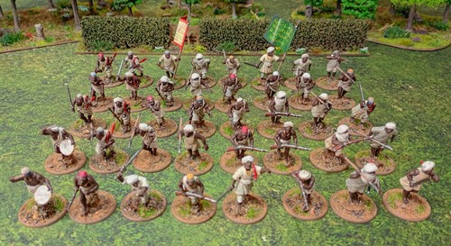 Painted 28mm perry miniatures