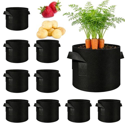 Pack gallon vegetable - 10,