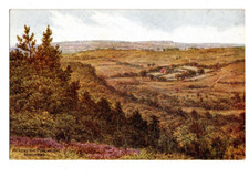 AR Quinton Hindhead Across The