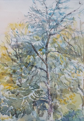 Original watercolour green - original, watercolour,'green