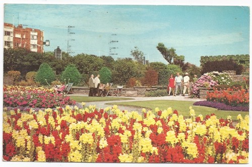 Skegness suncastle floral - skegness,