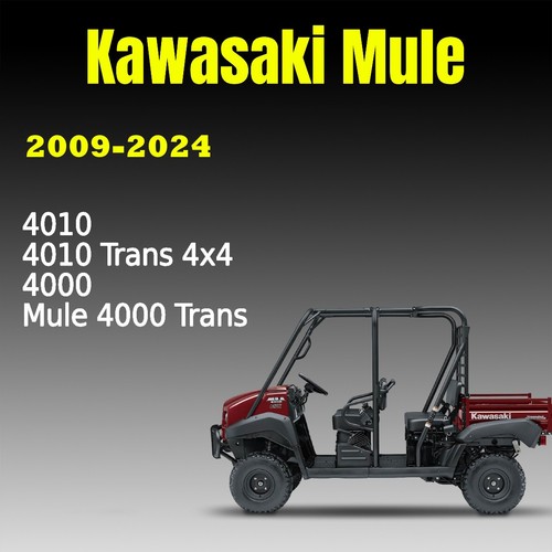 2009 2024 kawasaki - 2009-2024, 4000