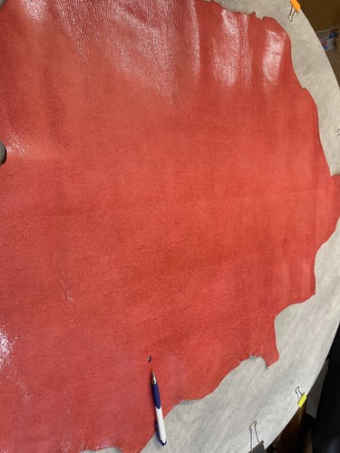 Leather skins hides glossy - leather,