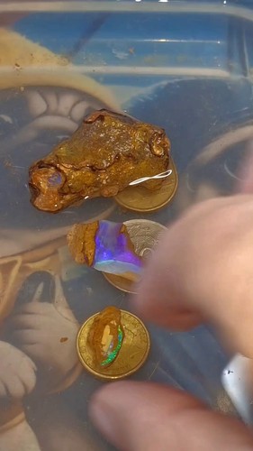Rough pipe boulder opals - rough,