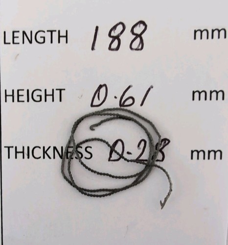 Fusee chain length 188 - chain.,