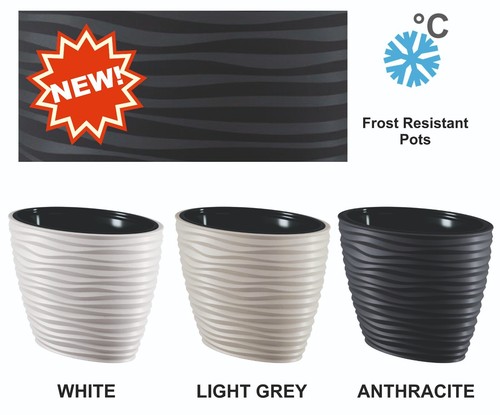Spring sale offer - sale, plant