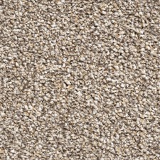 Brooklyn Elite Domestic