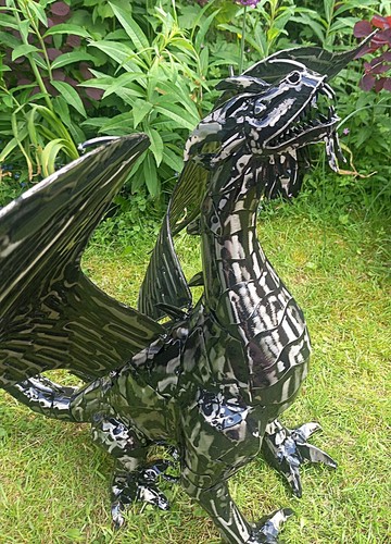 Mystical dragon garden - dragon,