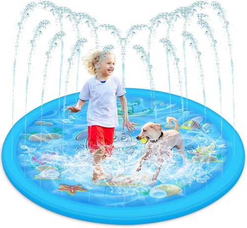 Dog pool small - dog, pool,