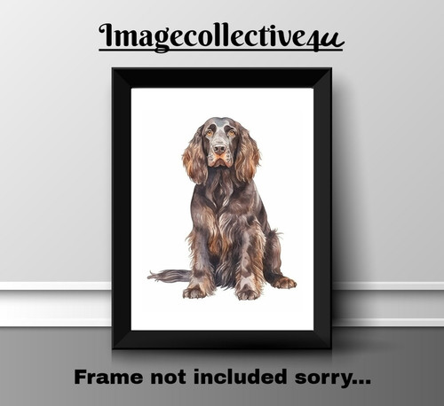 Field spaniel pet - spaniel, print