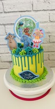In the night garden cake