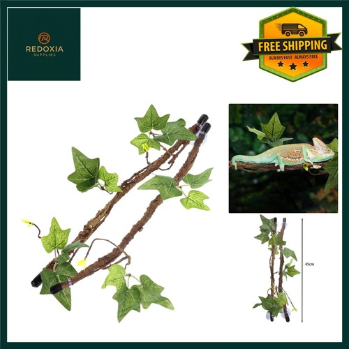 Realistic reptile terrarium - realistic,