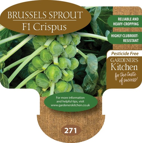 Sprout plants clubroot - sprout,
