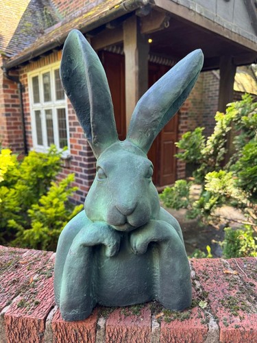 Rabbit hare head hands - /, in