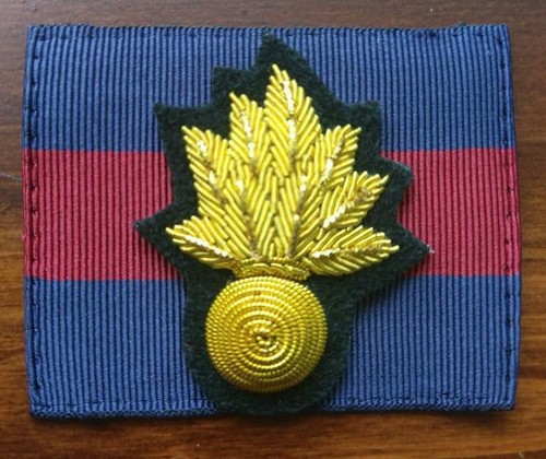 Grenadier guards officers - guards,