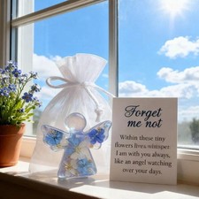 Forget Me Not Dried Flower