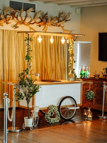 Catering cart for parties - cart,