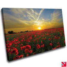 RED FLOWERS FIELD POPPY SCENE