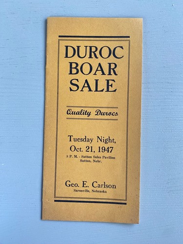 Vintage durocs boar - vintage, pigs