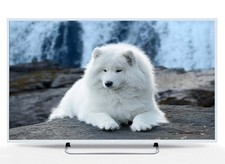 JVC 32 INCH Freeview LED TV  (LT-32C461) (Cream White)