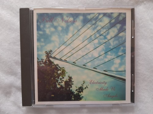 Bill nelson electricity made - bill,
