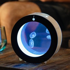 Round Desktop Jellyfish