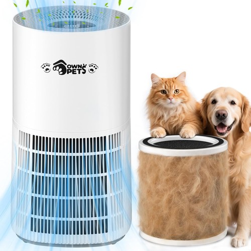 Air purifier for - air, home