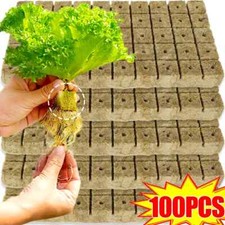 Rock Wool Starter Plugs Grow Cubes Seed Starters Planting Cubes Hydroponics UK