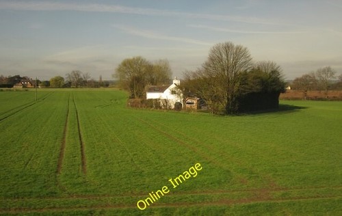 Photo 6x4 poplars smallholding - photo,