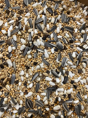 Parakeet lovebird food - &, mixed