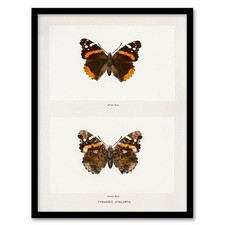 Denton Framed Wall Art Red