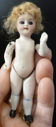 Antique mignonette - mignonette,, 3