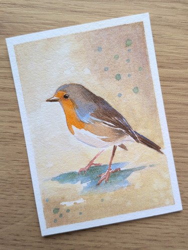 Aceo robin bird - robin,