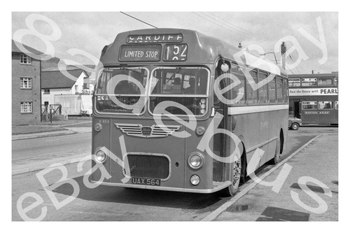 Bus photograph red white - red,