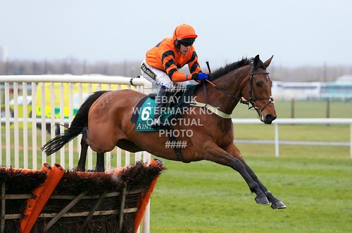 Thistlecrack tom scudamore - tom,