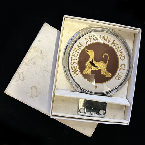 Boxed western afghan hound - boxed,