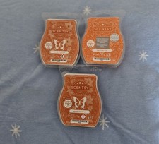 Scentsy Wax Melt Bars 3xBar