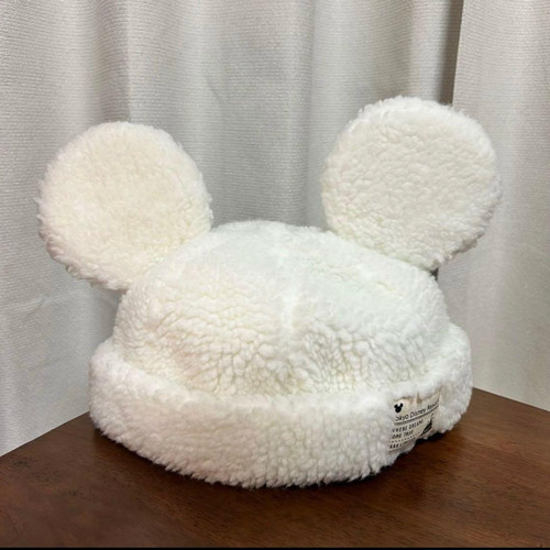 Tokyo disney resort mickey - resort,