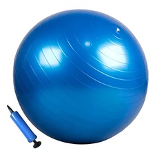 Anti-Burst Gym Ball 65cm