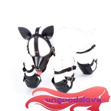 New Crawler Pet Restraint