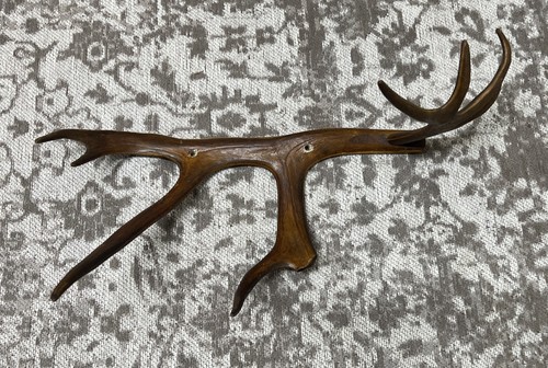 Antler hat and coat holder - hat,