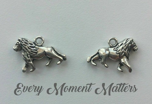 Tibetan silver lion - tibetan,