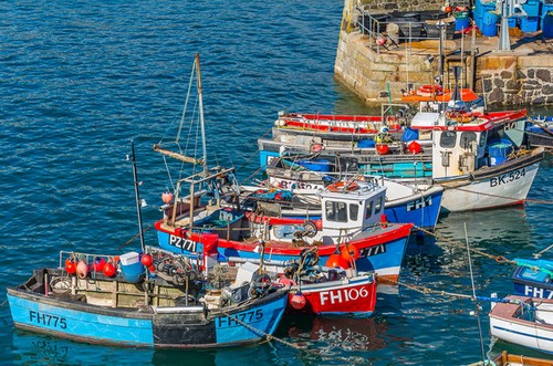 Photo 6x4 coverack - photo, harbour