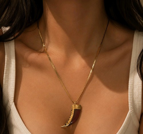 Powder horn pendant - powder, of