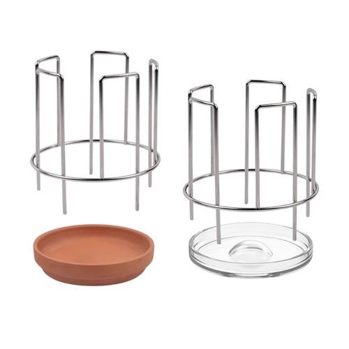 Turtle feeding dish reptile - turtle,