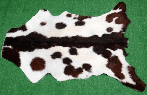 Genuine goat hide hair - goat, on