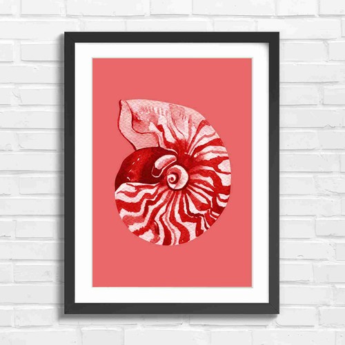 Vintage nautilus shell art - shell, red
