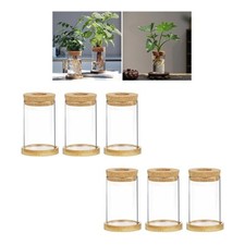3x Glass Flower Vases Clear