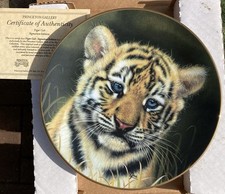 Princeton Gallery Cubs of the